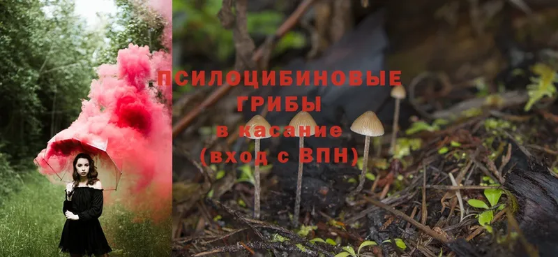 Галлюциногенные грибы Magic Shrooms Невинномысск